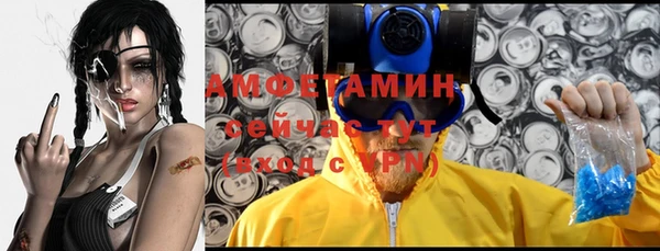 кокс Елизово
