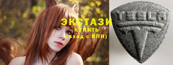 спиды Ельня